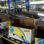 empleo-operarioa-para-empaque-en-san-antonio-costa-rica-contrato-a-tiempo-completo-con-horario-diurno